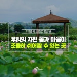우리마을 블로그 > 열린광장 >