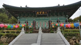 세종시콘텐츠허브 > 블로그기자단 > 시민리포트 > 민원·소통·참여