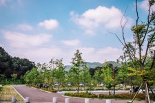 세종시콘텐츠허브 > 블로그기자단 > 시민리포트 > 민원·소통·참여