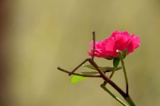 세종시콘텐츠허브 > 블로그기자단 > 시민리포트 > 민원·소통·참여