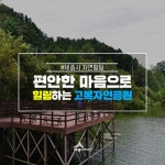 세종시콘텐츠허브 > 블로그기자단 > 시민리포트 > 민원·소통·참여