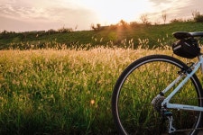 세종시콘텐츠허브 > 블로그기자단 > 시민리포트 > 민원·소통·참여