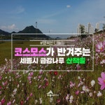 우리마을 블로그 > 열린광장 >