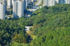 세종시콘텐츠허브 > 블로그기자단 > 시민리포트 > 민원·소통·참여