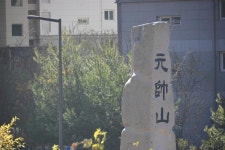 세종시콘텐츠허브 > 블로그기자단 > 시민리포트 > 민원·소통·참여