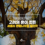 우리마을 블로그 > 열린광장 >