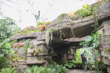 세종시콘텐츠허브 > 블로그기자단 > 시민리포트 > 민원·소통·참여