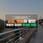 우리마을 블로그 > 열린광장 >