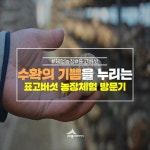 우리마을 블로그 > 열린광장 >