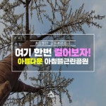 우리마을 블로그 > 열린광장 >