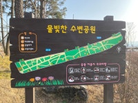 세종시콘텐츠허브 > 블로그기자단 > 시민리포트 > 민원·소통·참여