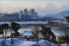 세종시콘텐츠허브 > 블로그기자단 > 시민리포트 > 민원·소통·참여