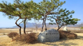 세종시콘텐츠허브 > 블로그기자단 > 시민리포트 > 시민의 창
