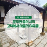 우리마을 블로그 > 열린광장 >