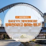 우리마을 블로그 > 열린광장 >