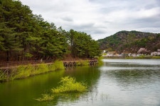 세종시콘텐츠허브 > 블로그기자단 > 시민리포트 > 민원·소통·참여