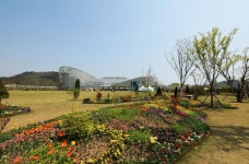 세종시콘텐츠허브 > 블로그기자단 > 시민리포트 > 시민의 창