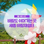 우리마을 블로그 > 열린광장 >