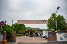 세종시콘텐츠허브 > 블로그기자단 > 시민리포트 > 민원·소통·참여