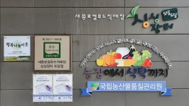 세종시콘텐츠허브 > 블로그기자단 > 시민리포트 > 민원·소통·참여