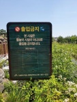 세종시콘텐츠허브 > 블로그기자단 > 시민리포트 > 민원·소통·참여