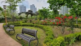 세종시콘텐츠허브 > 블로그기자단 > 시민리포트 > 민원·소통·참여