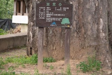 세종시콘텐츠허브 > 블로그기자단 > 시민리포트 > 민원·소통·참여