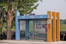 세종시콘텐츠허브 > 블로그기자단 > 시민리포트 > 민원·소통·참여