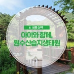 우리마을 블로그 > 열린광장 >