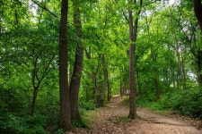 세종시콘텐츠허브 > 블로그기자단 > 시민리포트 > 민원·소통·참여