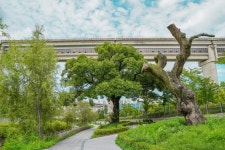 세종시콘텐츠허브 > 블로그기자단 > 시민리포트 > 민원·소통·참여