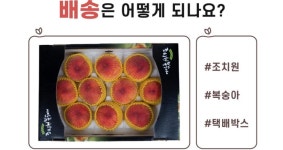 세종시콘텐츠허브 > 블로그기자단 > 시민리포트 > 민원·소통·참여