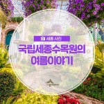 우리마을 블로그 > 열린광장 >
