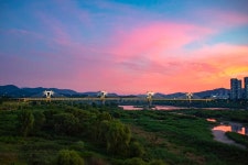 세종시콘텐츠허브 > 블로그기자단 > 시민리포트 > 민원·소통·참여