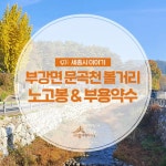 우리마을 블로그 > 열린광장 >