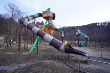 세종시콘텐츠허브 > 블로그기자단 > 시민리포트 > 민원·소통·참여