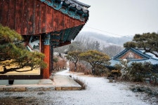 세종시콘텐츠허브 > 블로그기자단 > 시민리포트 > 민원·소통·참여