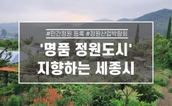 도시재생시민기자단 > 시민리포트 > 민원·소통·참여