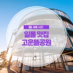 우리마을 블로그 > 열린광장 >