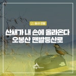 우리마을 블로그 > 열린광장 >