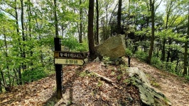 세종시콘텐츠허브 > 블로그기자단 > 시민리포트 > 민원·소통·참여