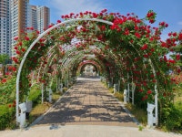 세종시콘텐츠허브 > 블로그기자단 > 시민리포트 > 민원·소통·참여