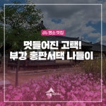 우리마을 블로그 > 열린광장 >