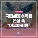 우리마을 블로그 > 열린광장 >