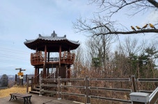 세종시콘텐츠허브 > 블로그기자단 > 시민리포트 > 민원·소통·참여