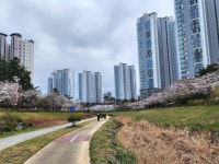 세종시콘텐츠허브 > 블로그기자단 > 시민리포트 > 민원·소통·참여