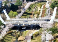 세종시콘텐츠허브 > 블로그기자단 > 시민리포트 > 민원·소통·참여