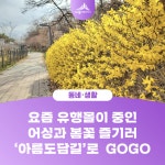 우리마을 블로그 > 열린광장 >