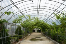 세종시콘텐츠허브 > 블로그기자단 > 시민리포트 > 민원·소통·참여