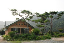 세종시콘텐츠허브 > 블로그기자단 > 시민리포트 > 민원·소통·참여